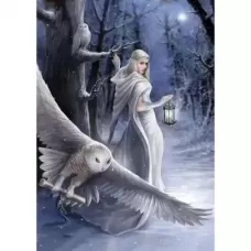 a Anne Stokes - Mensajero De Medianoche 1000pz